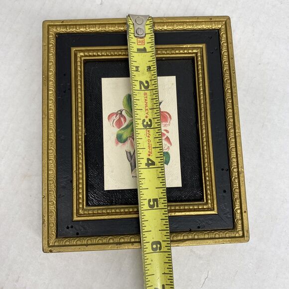 Burwood Products Company Pyrus Spectabilis Flowers Plants 5 X 6 Wall Art Frame - Picture 4 of 7